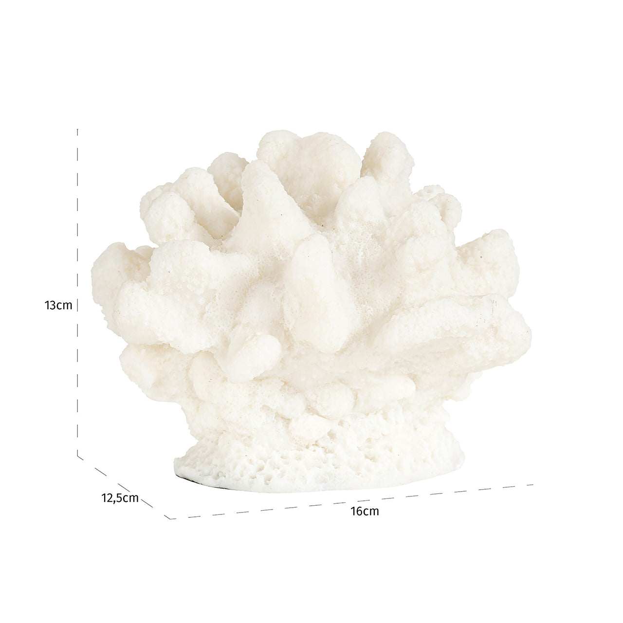 Faux coral Mare (White)