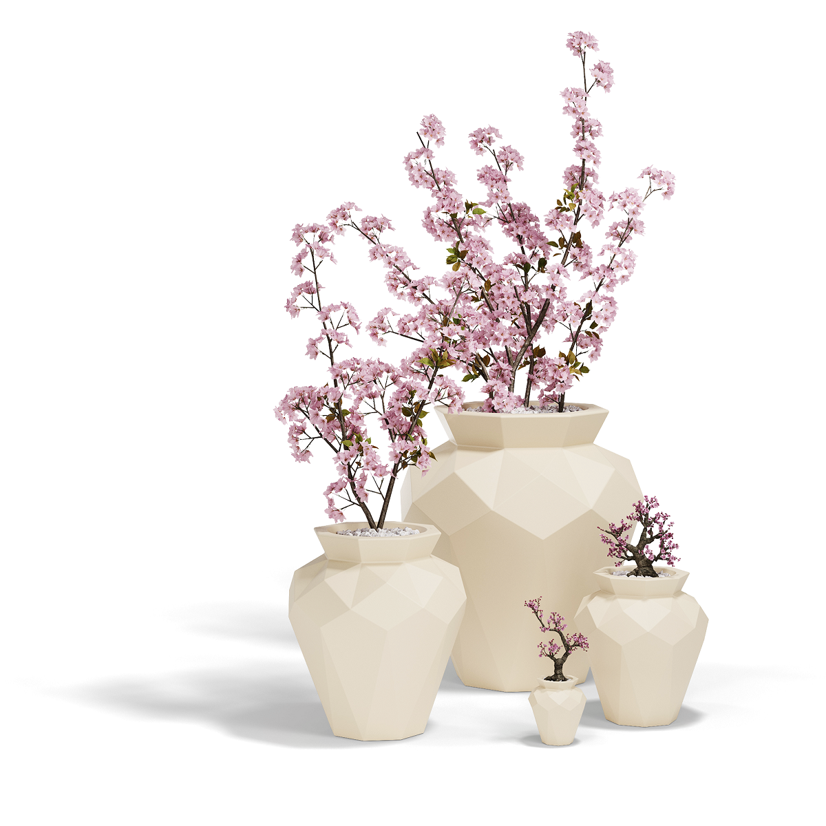 Origami Hanami 23X23X25