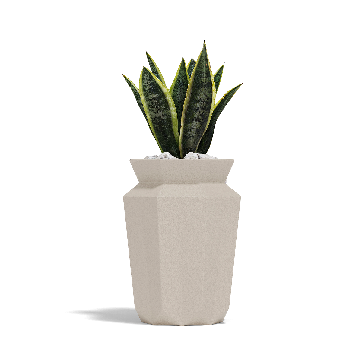 Origami Hasu 86X86X120