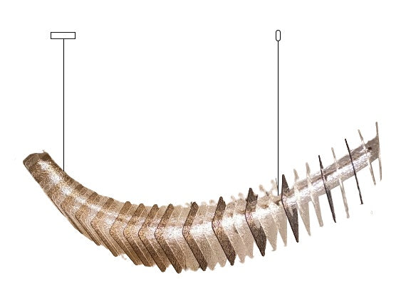 Pendant light - Line Shua Long